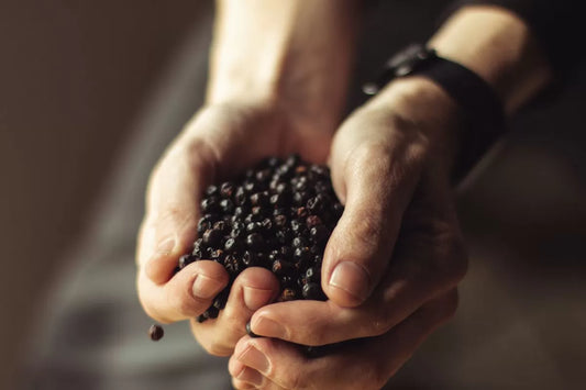 A handful of juniper berries