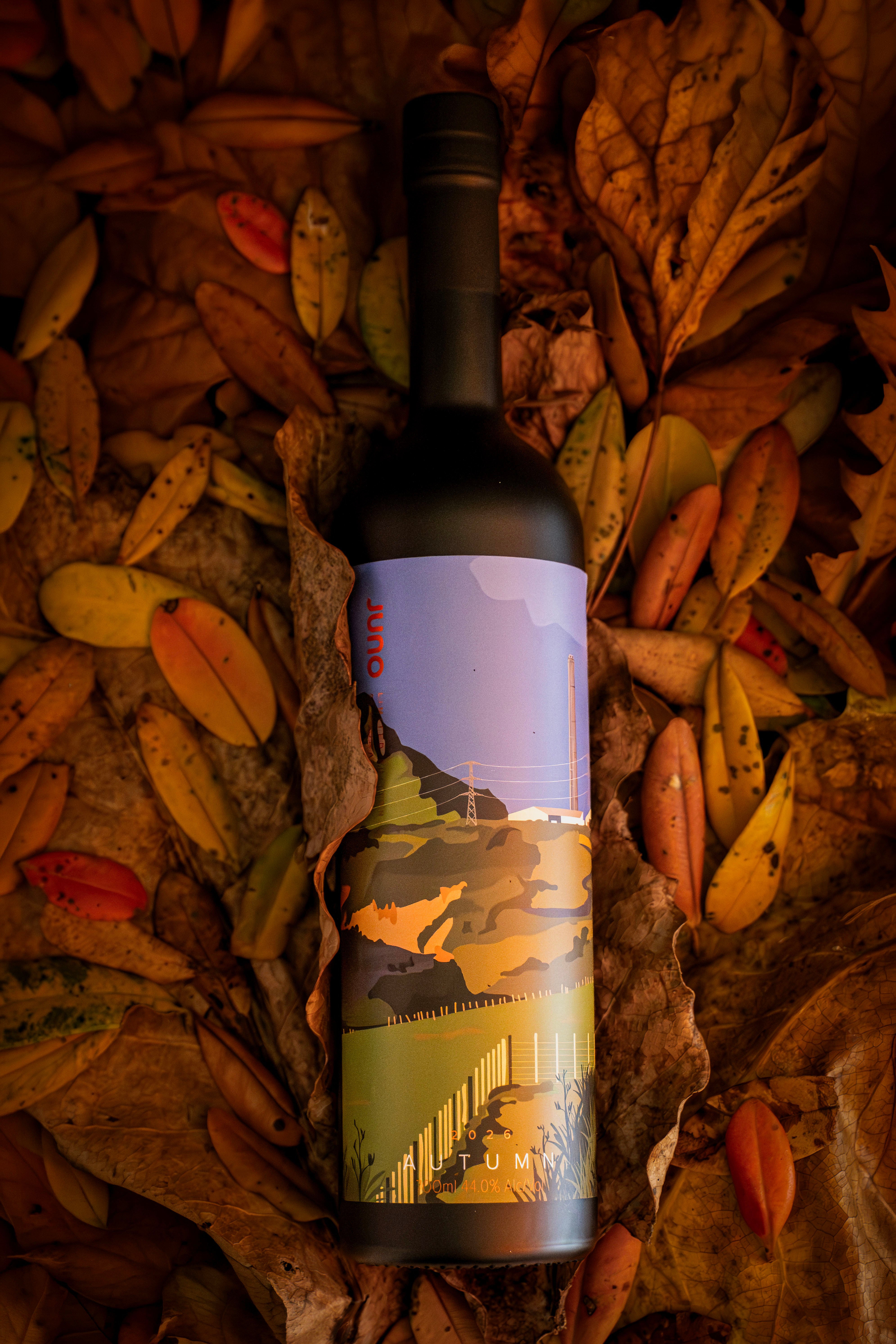 A lifestyle photograph of The Autumnal Gin Pack