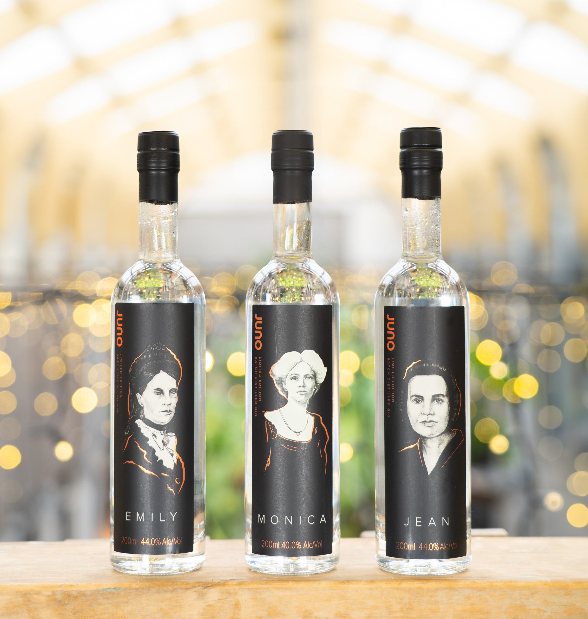 A lifestyle photograph of The Trailblazers Gin Pack